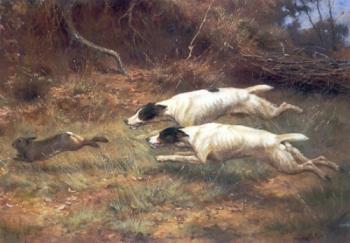 Thomas Blinks : Terriers on a Hare